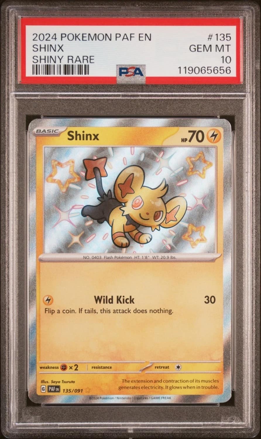Shinx