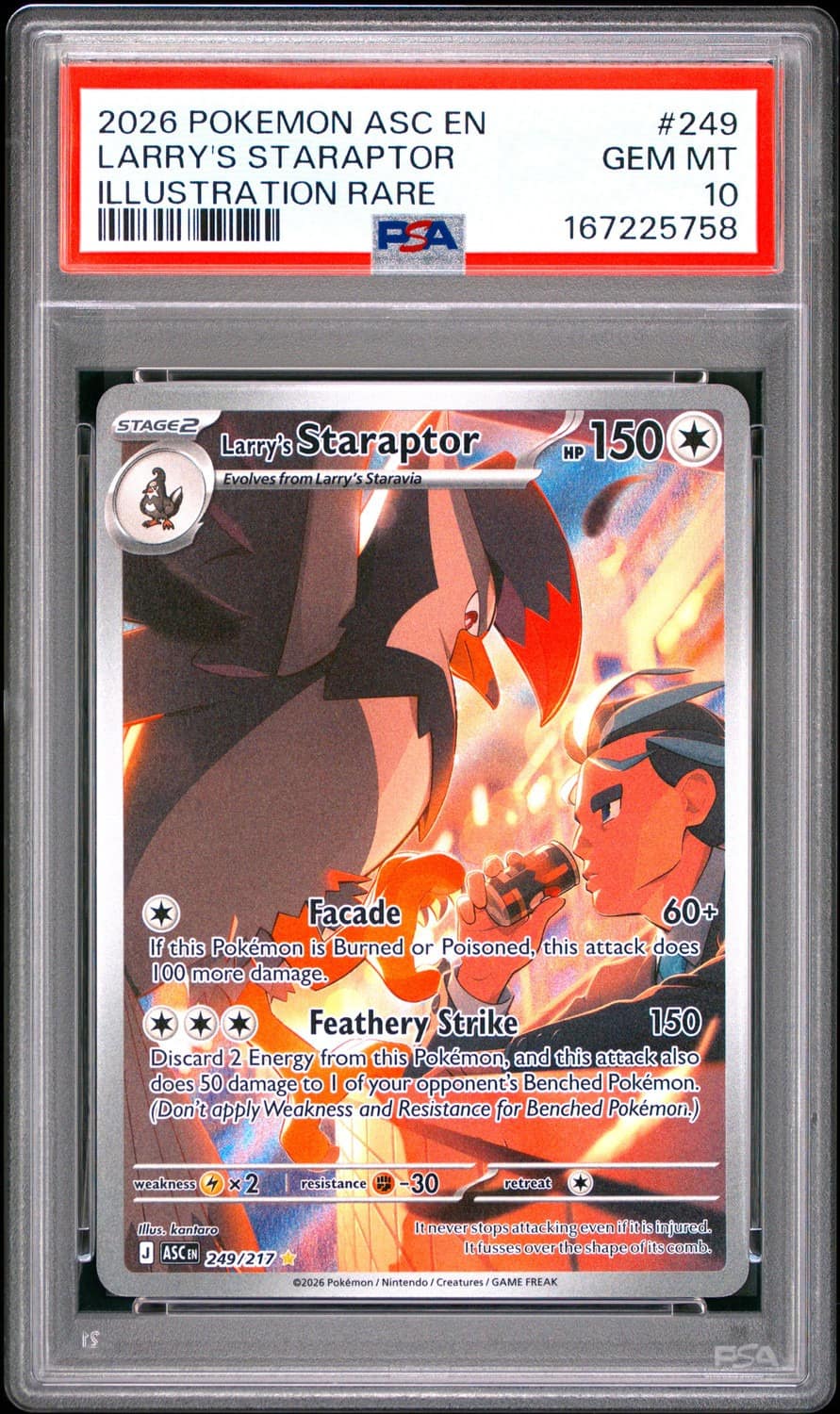 Larry'S Staraptor