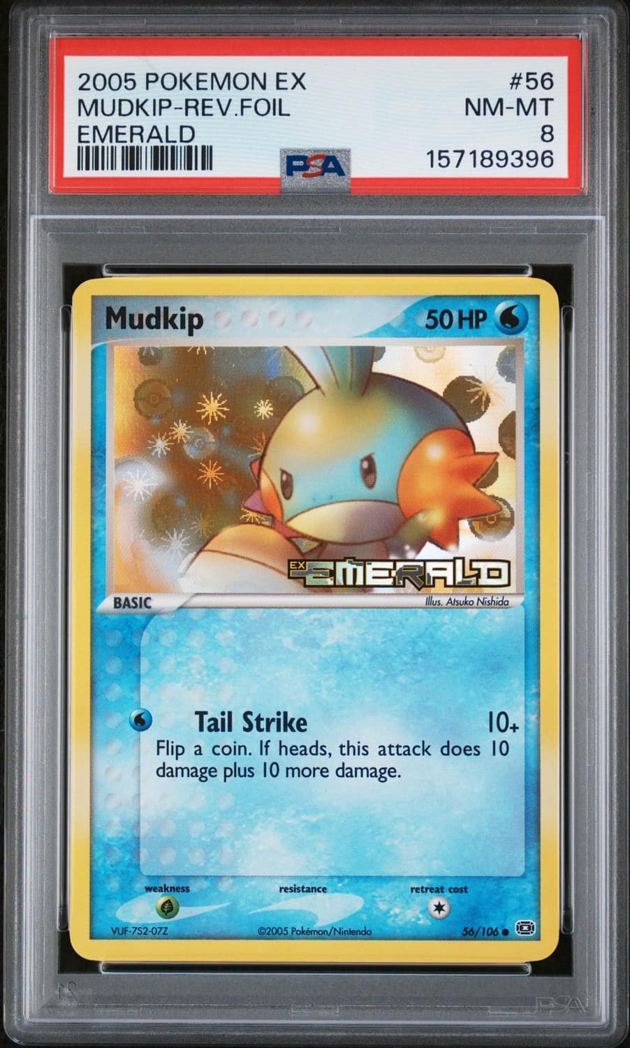 Mudkip