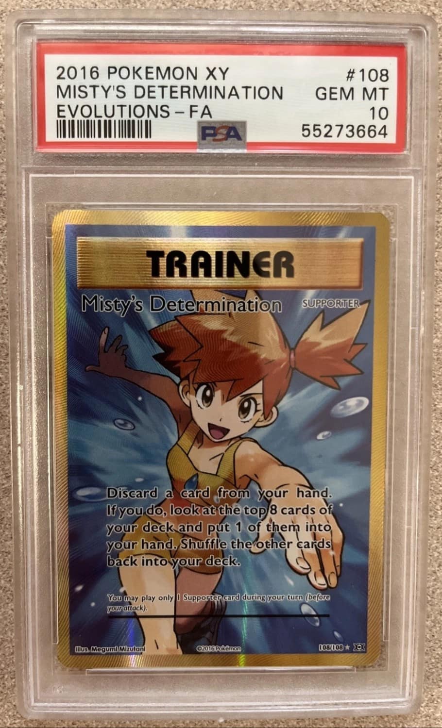 Misty'S Determination