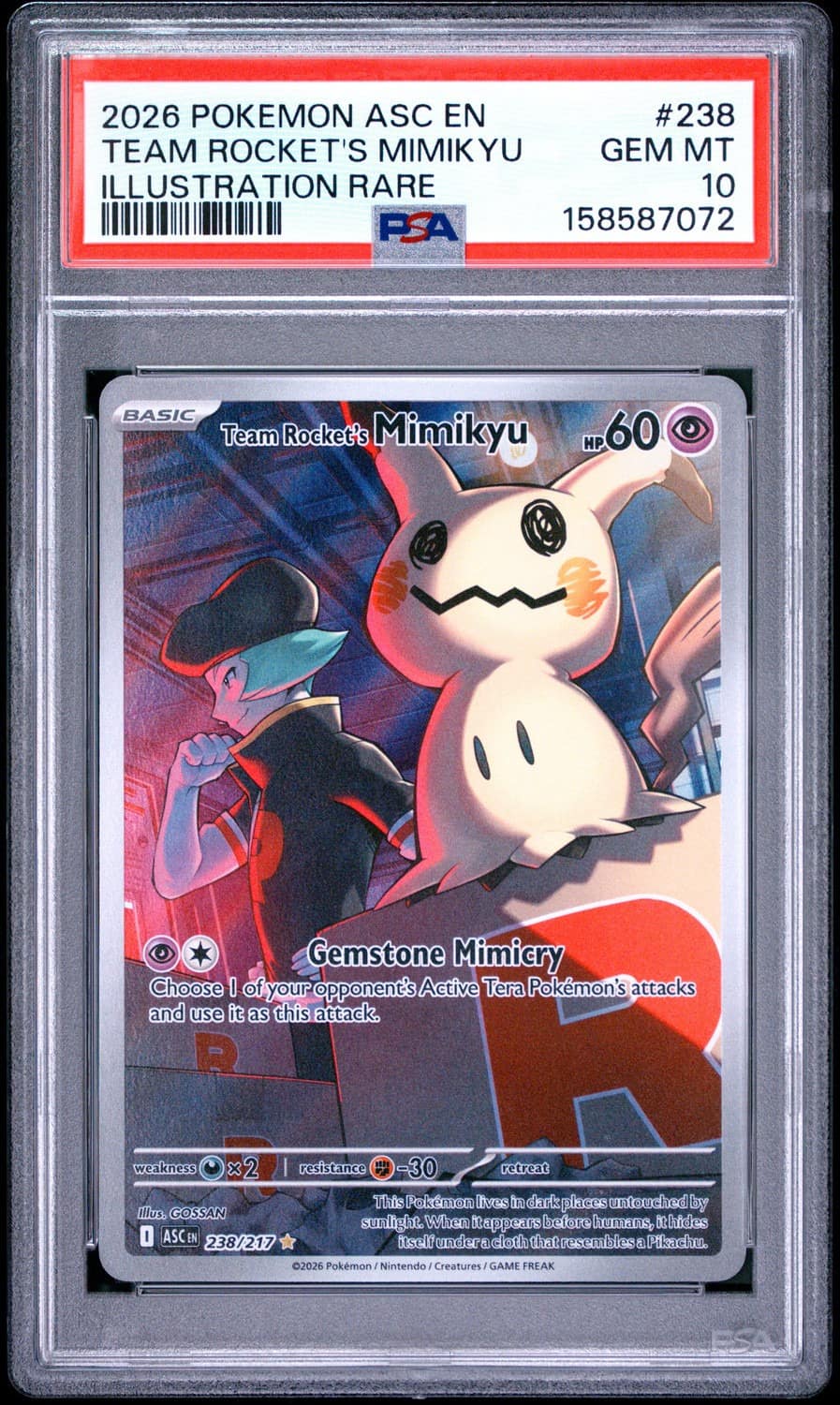 Team Rocket'S Mimikyu