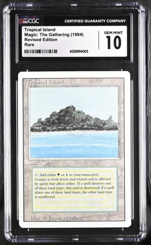 Tropical Island