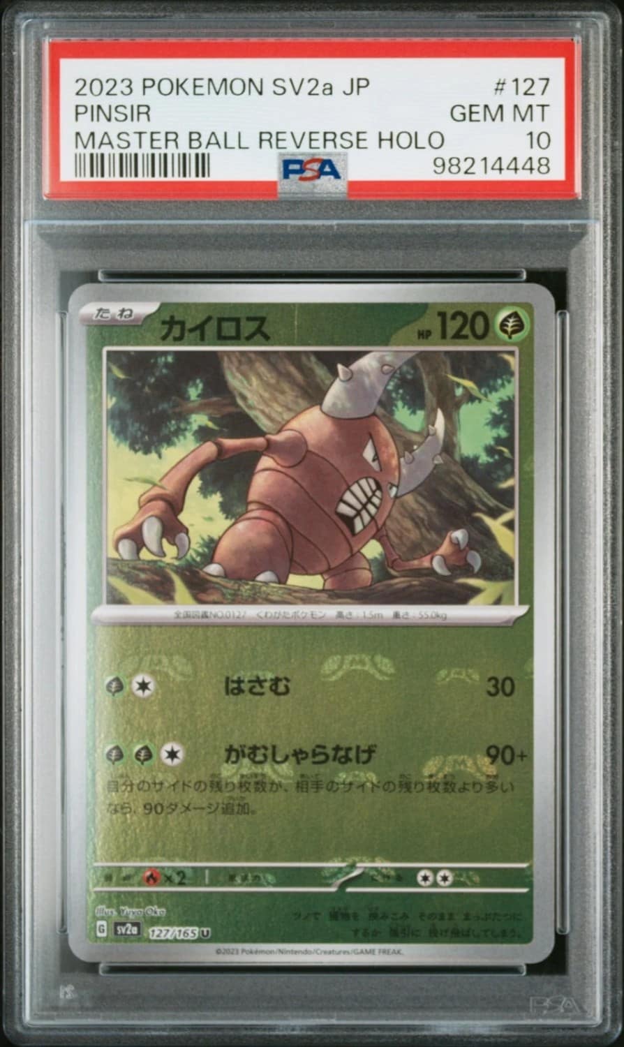 Pinsir