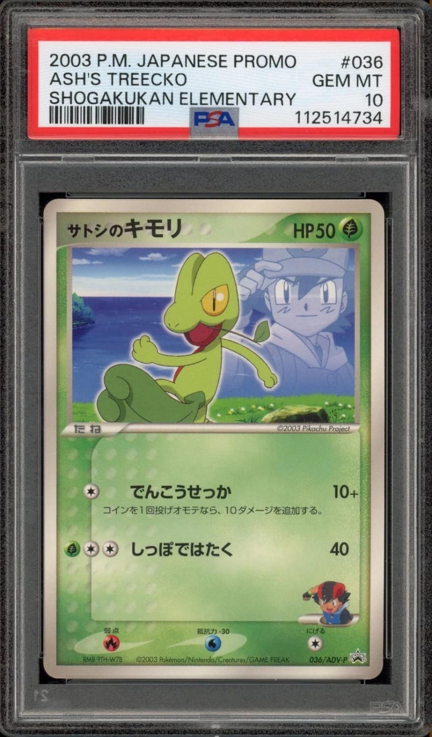 Ash'S Treecko