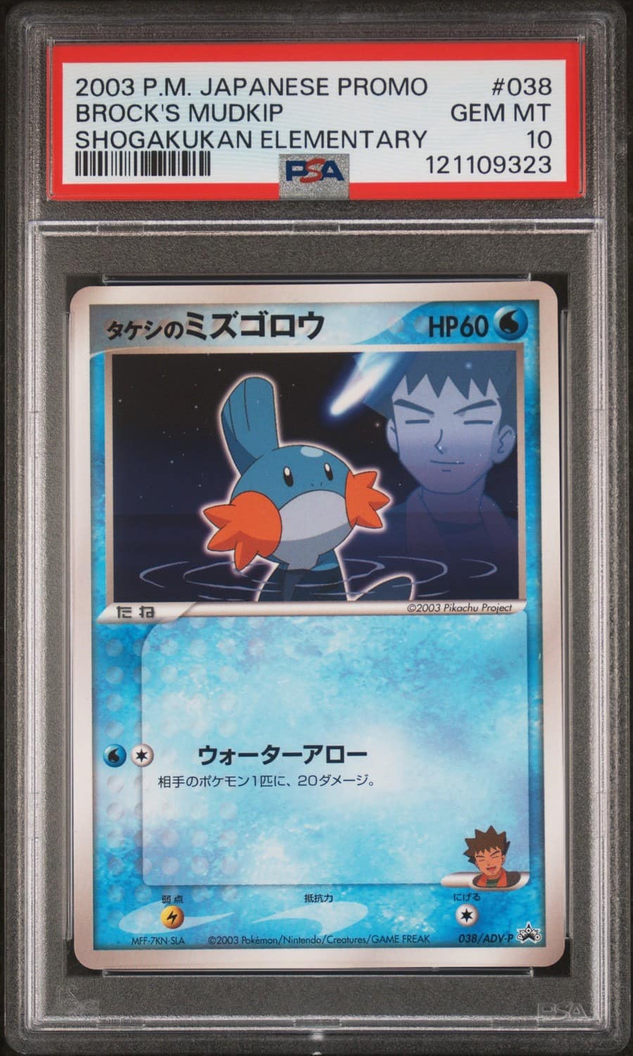 Brock'S Mudkip
