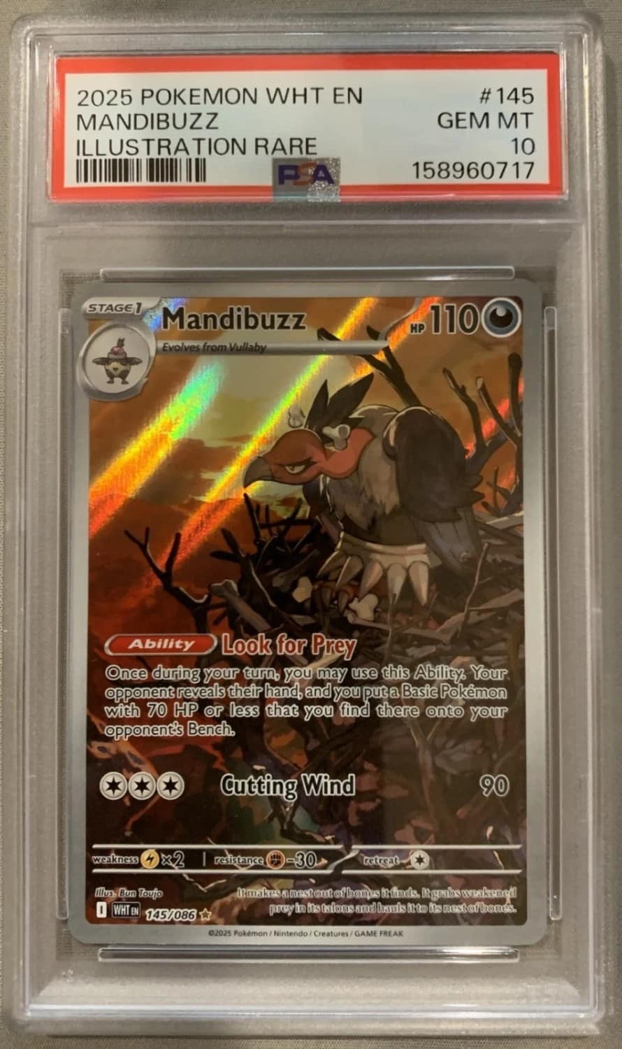 Mandibuzz