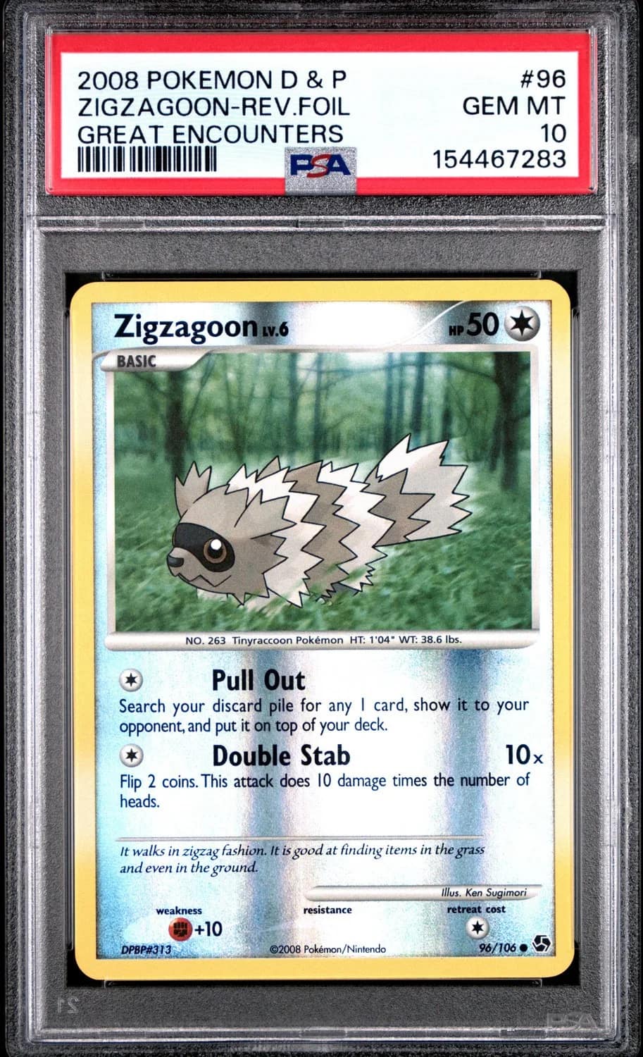 Zigzagoon