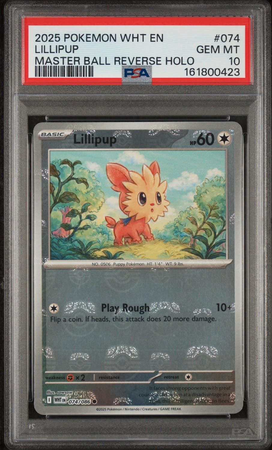 Lillipup
