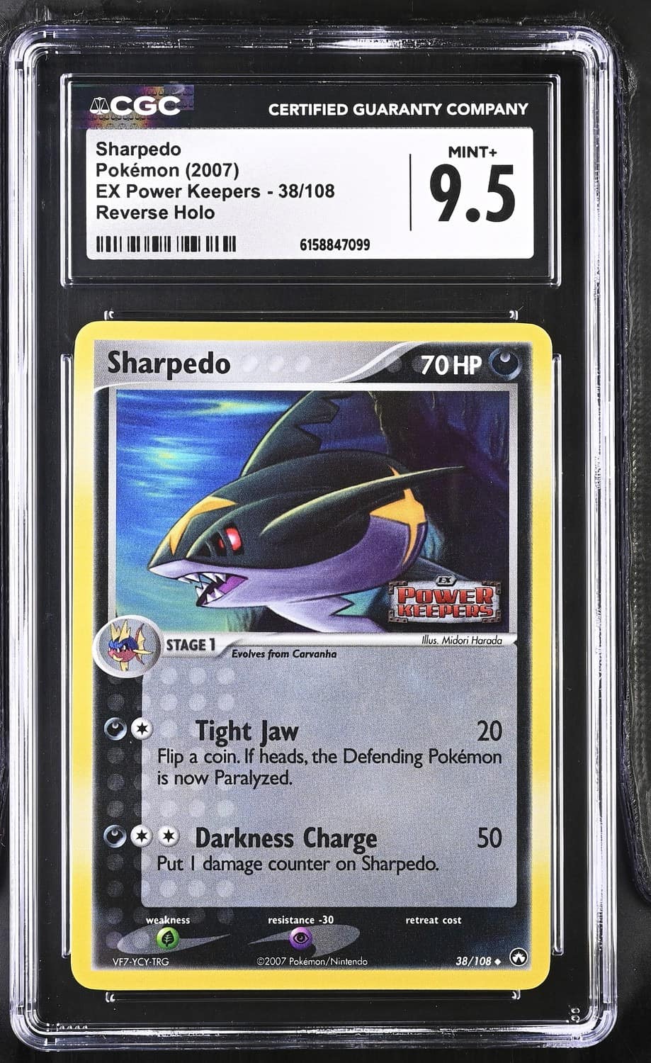 Sharpedo