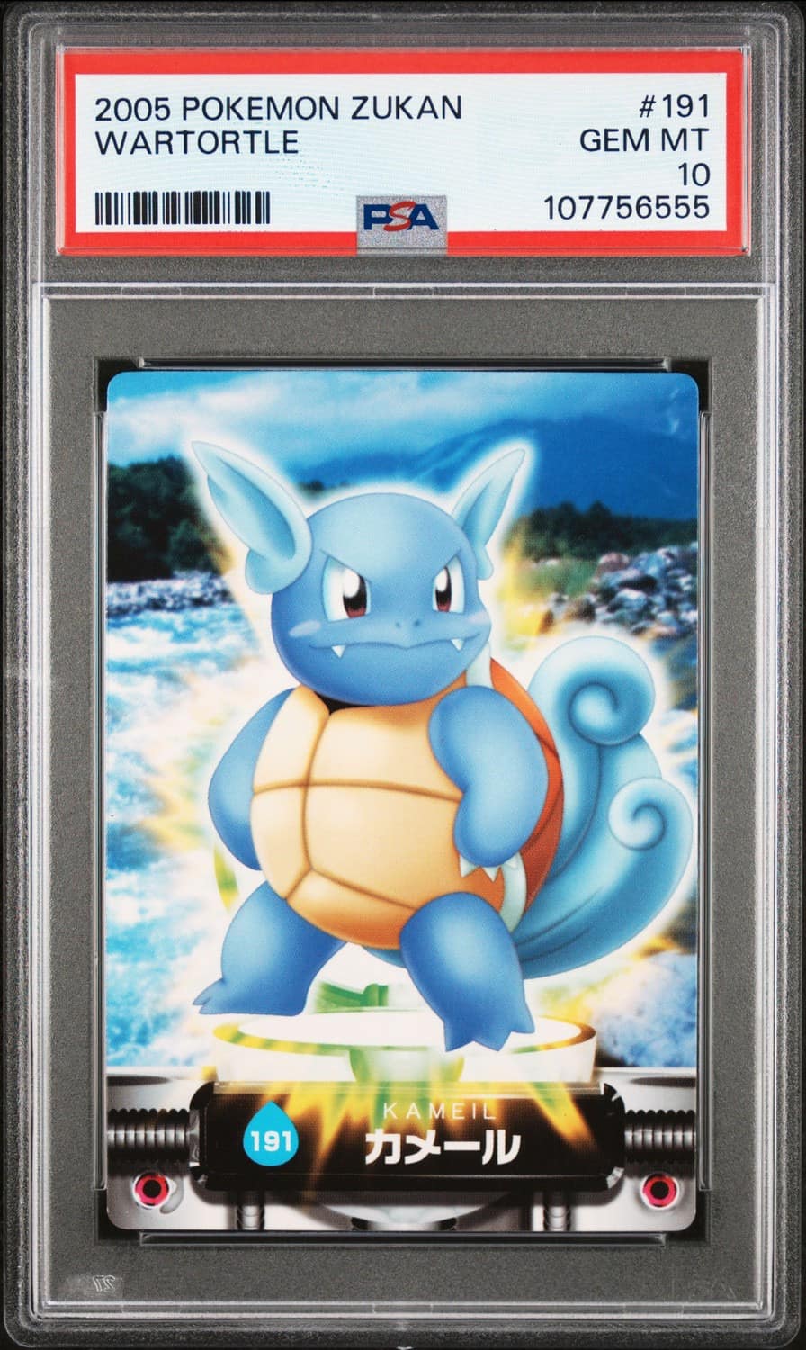 Wartortle