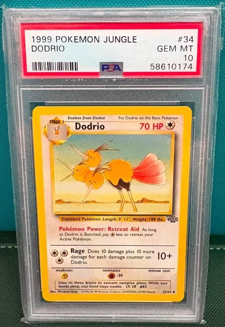 Dodrio