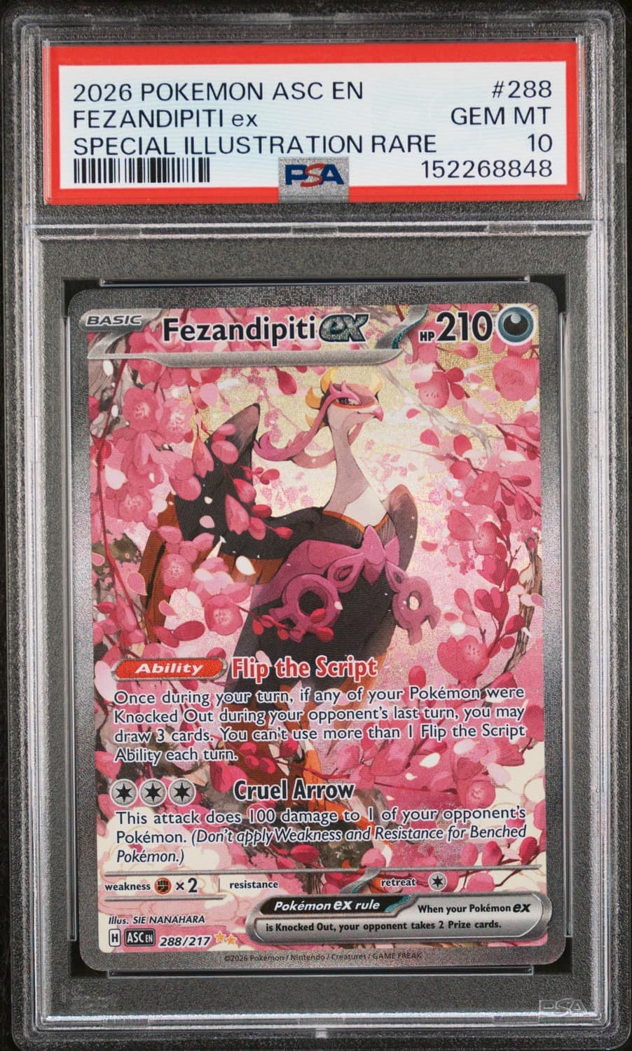 Fezandipiti Ex
