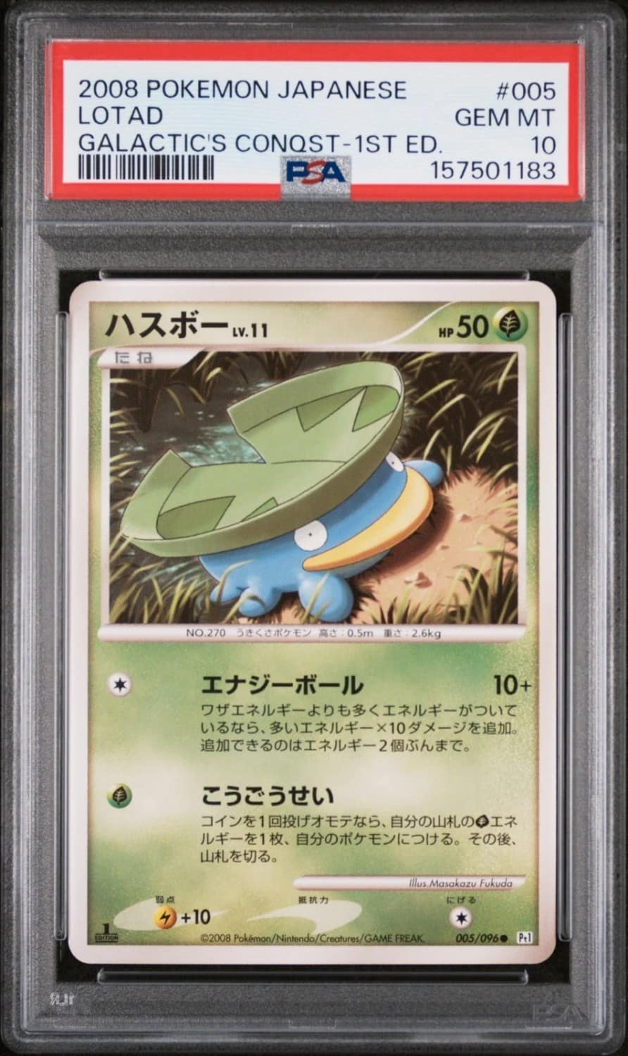 Lotad
