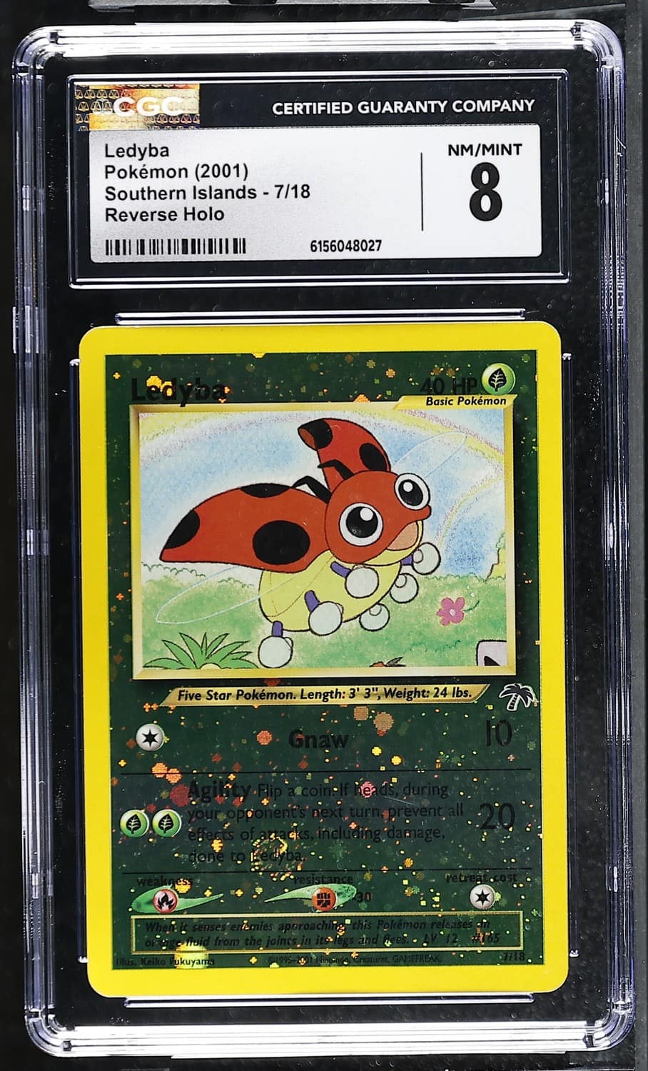 Ledyba