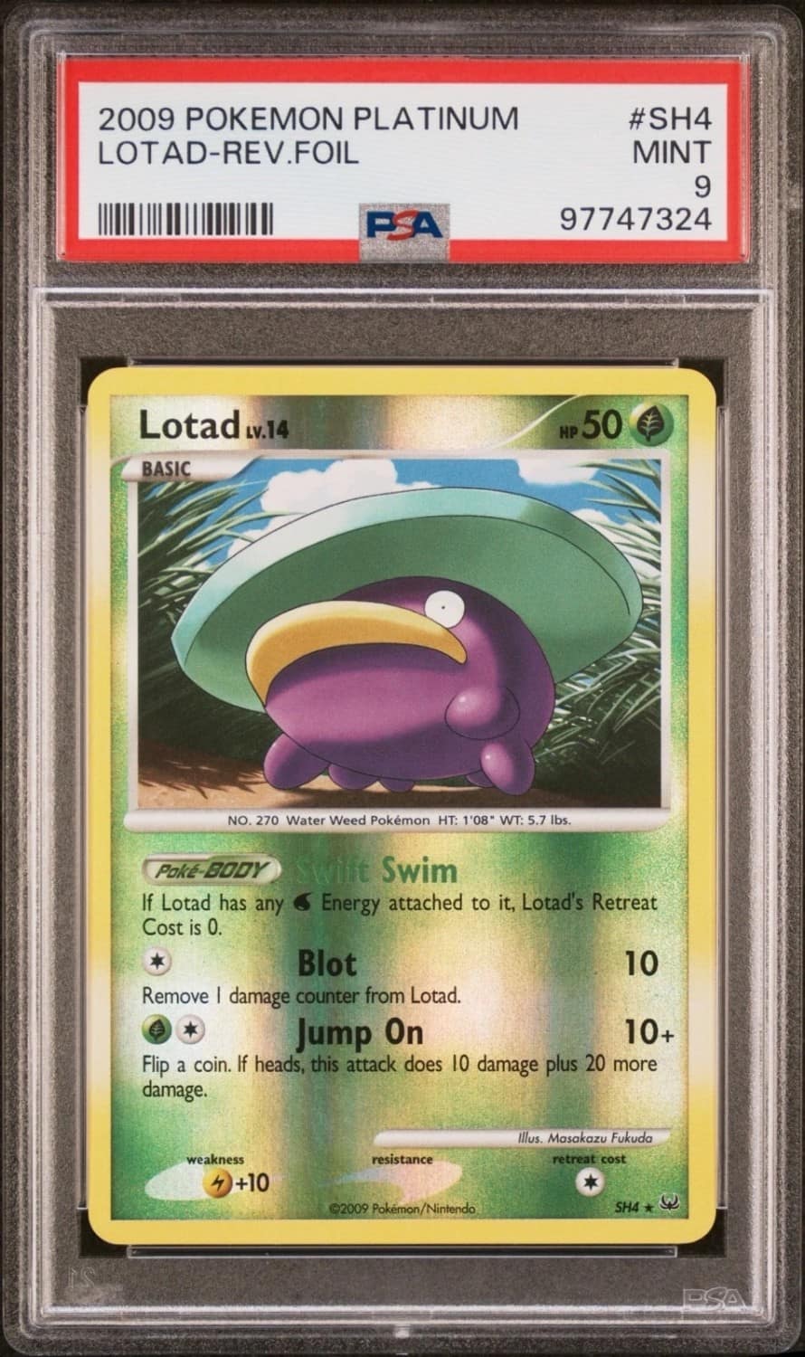 Lotad