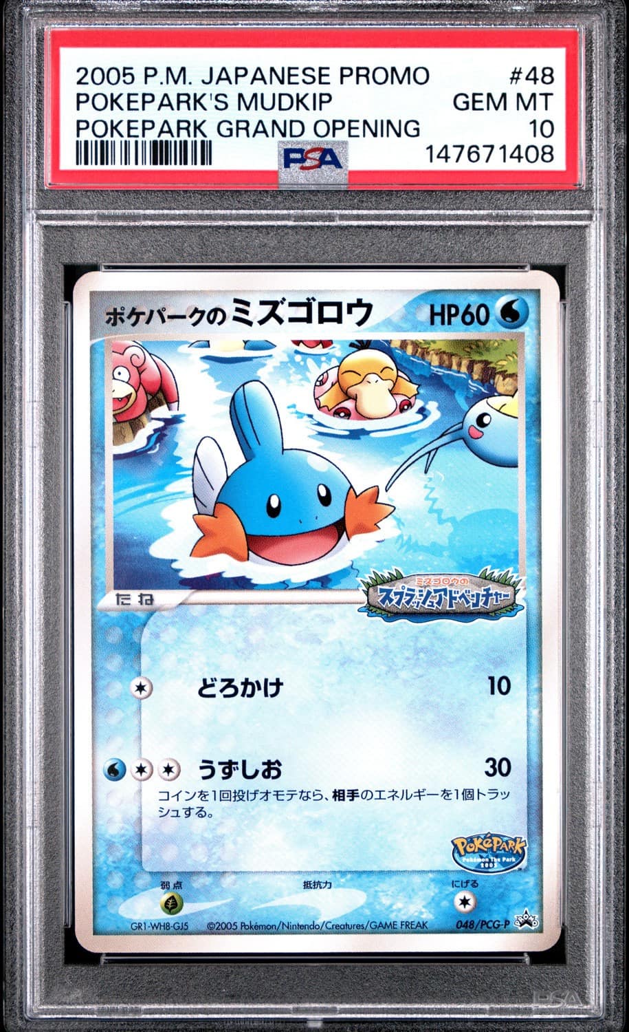 Pokepark'S Mudkip