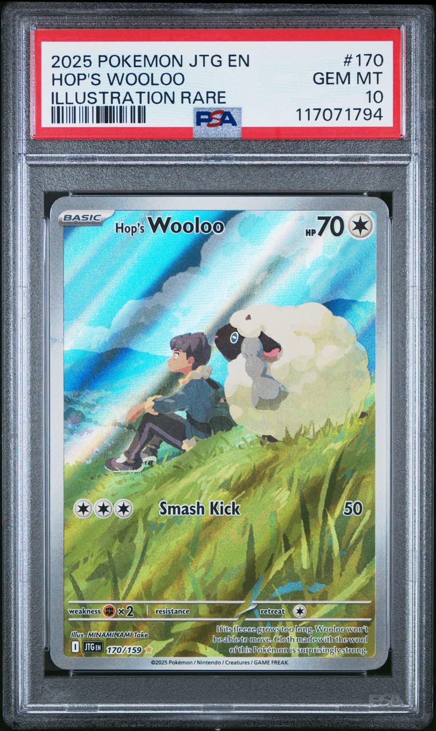 Hop'S Wooloo
