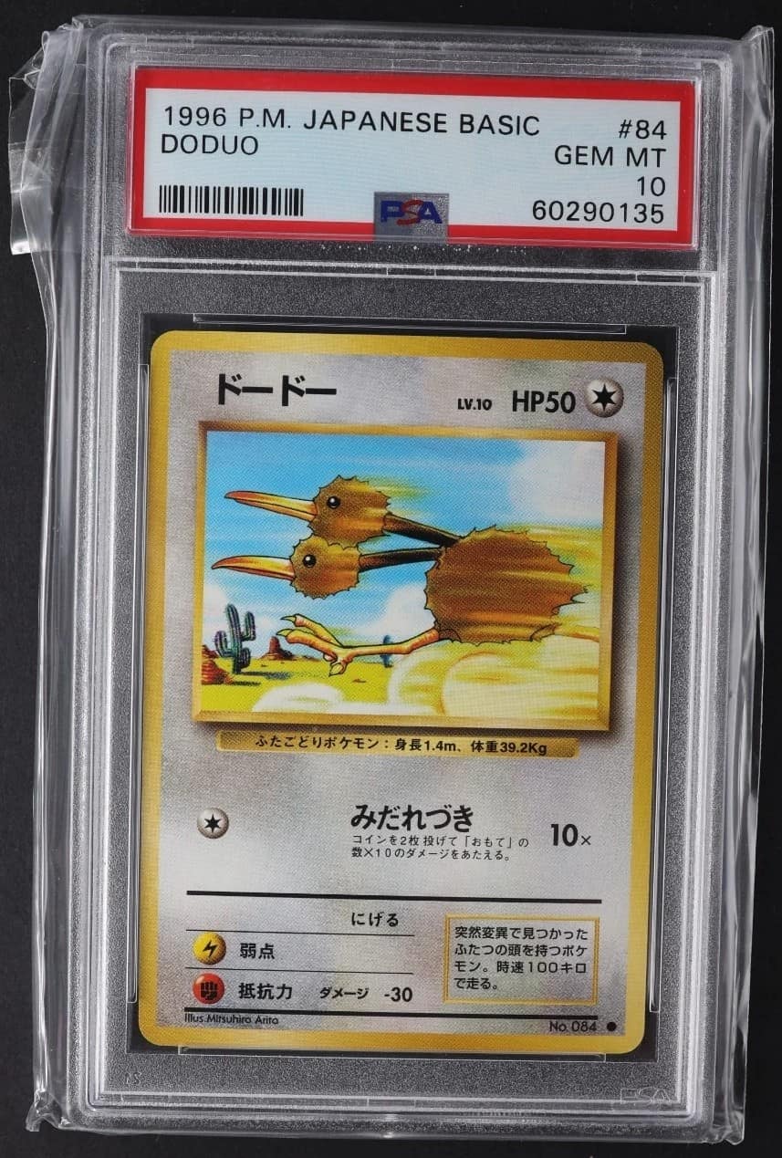 Doduo