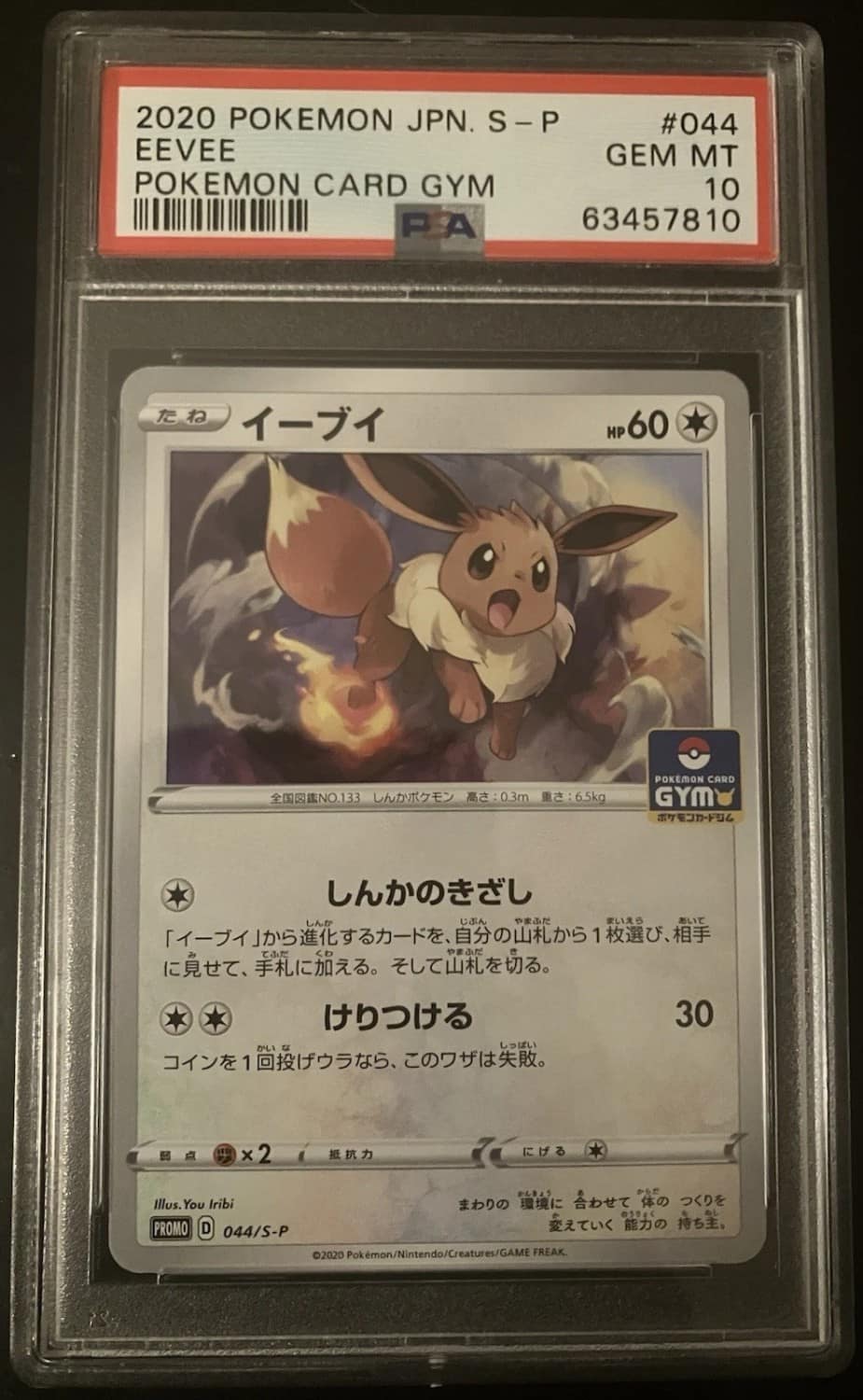 Eevee