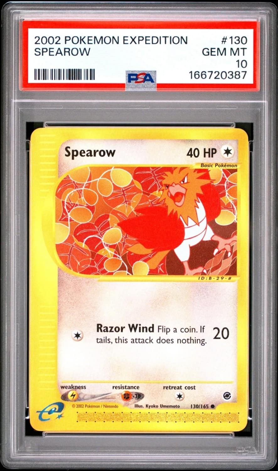 Spearow