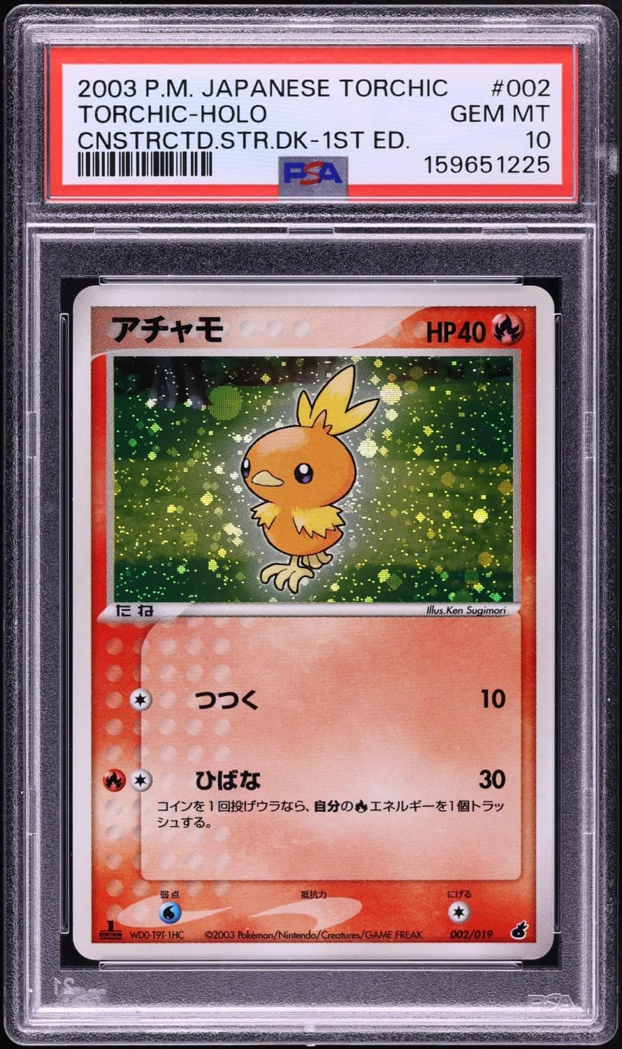 Torchic