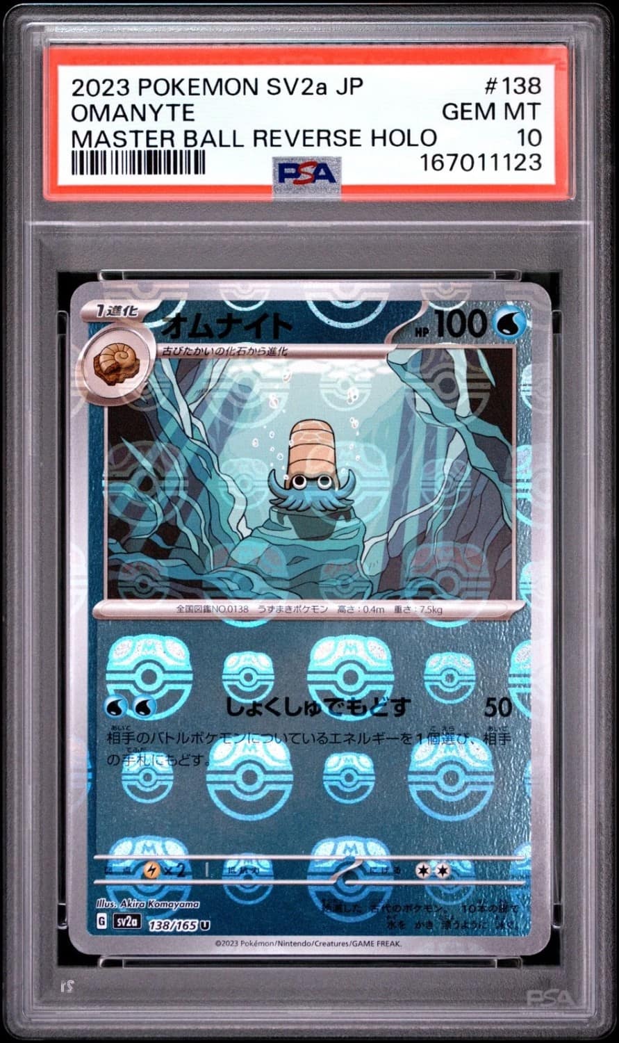 Omanyte