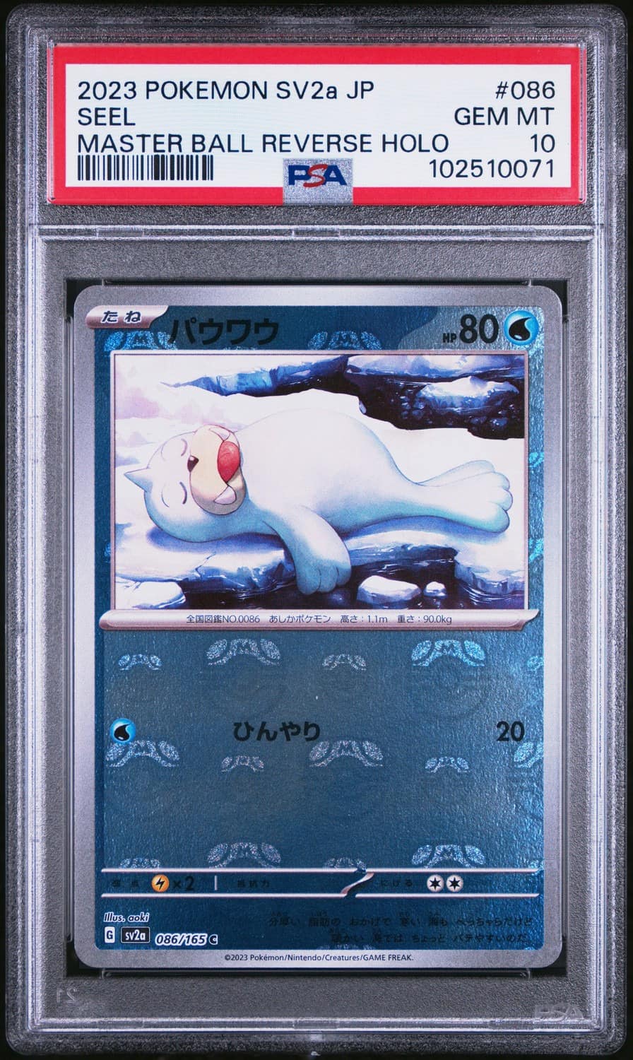 Seel