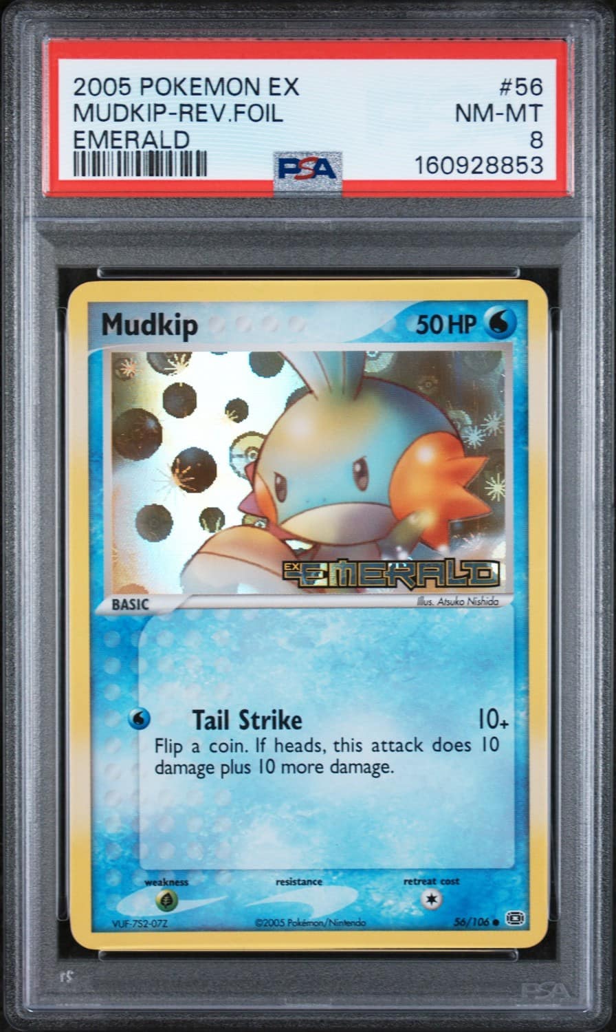 Mudkip