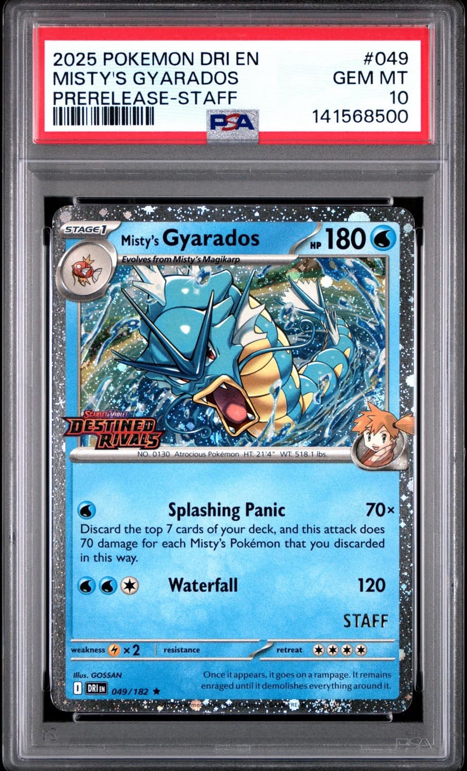 Misty'S Gyarados