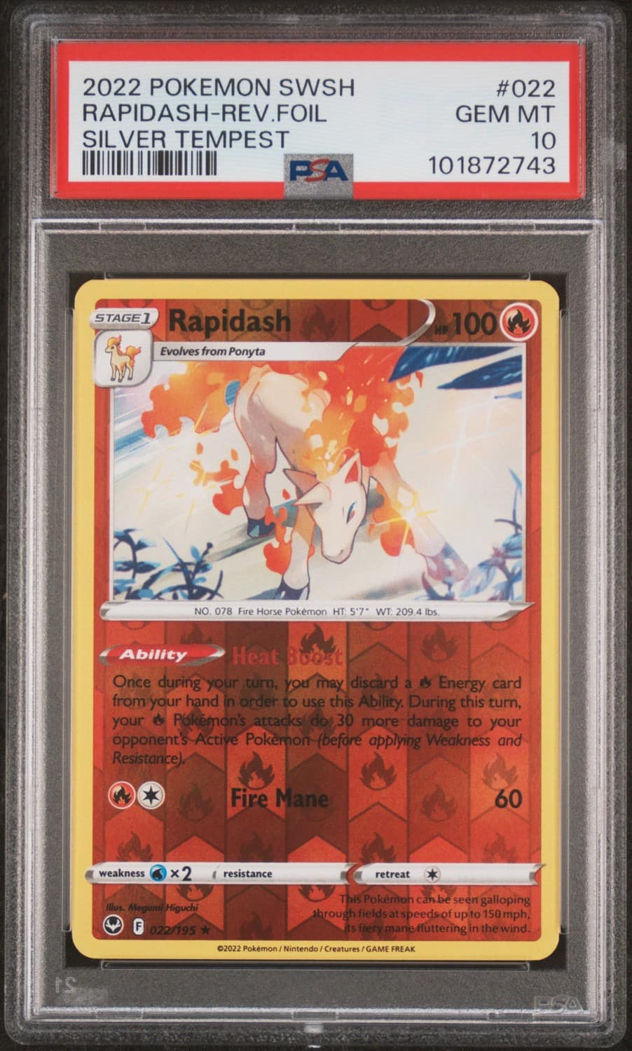 Rapidash