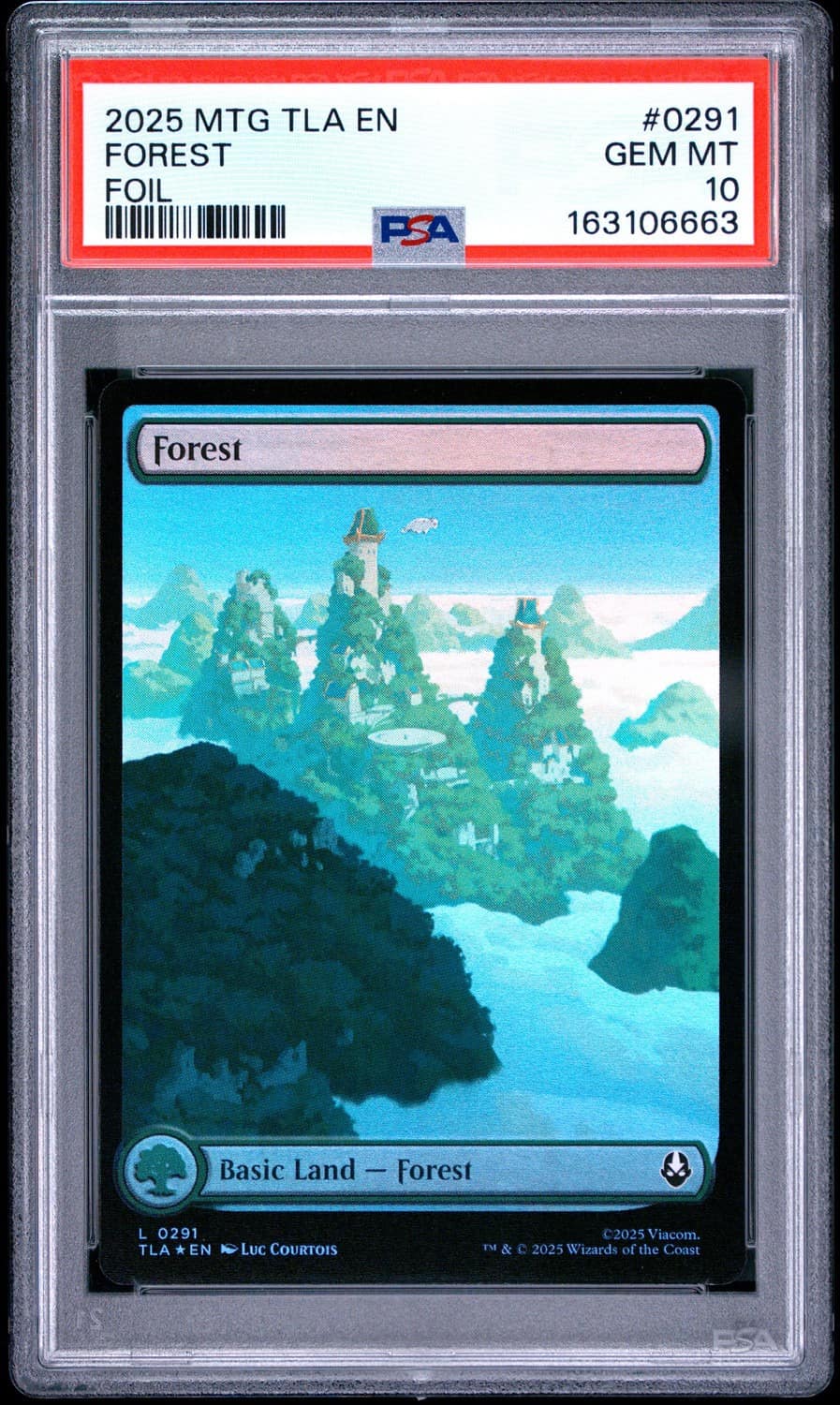 Forest