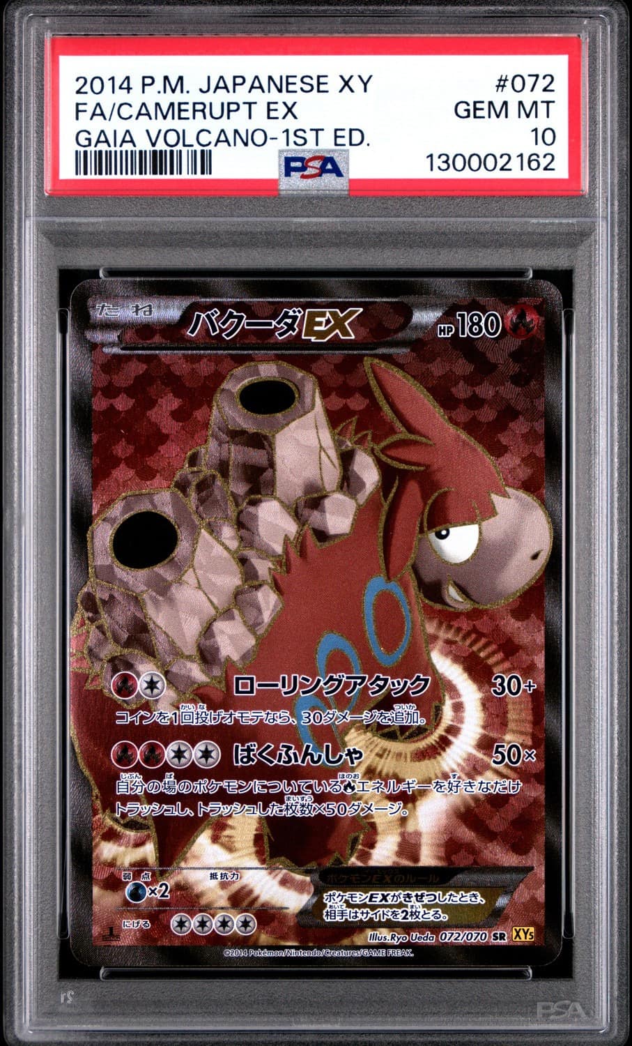 Camerupt Ex