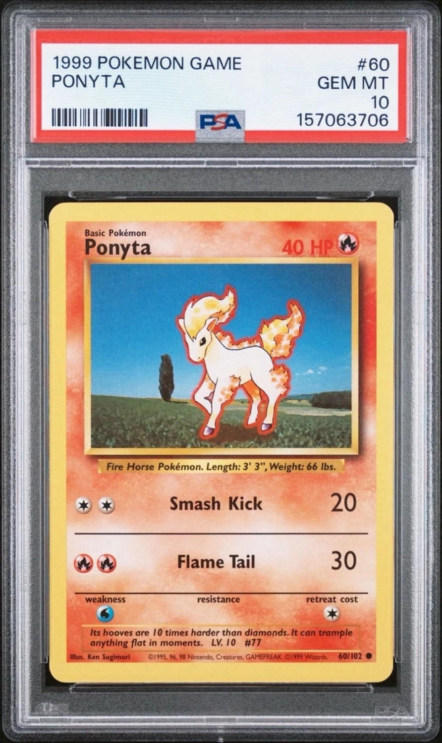 Ponyta
