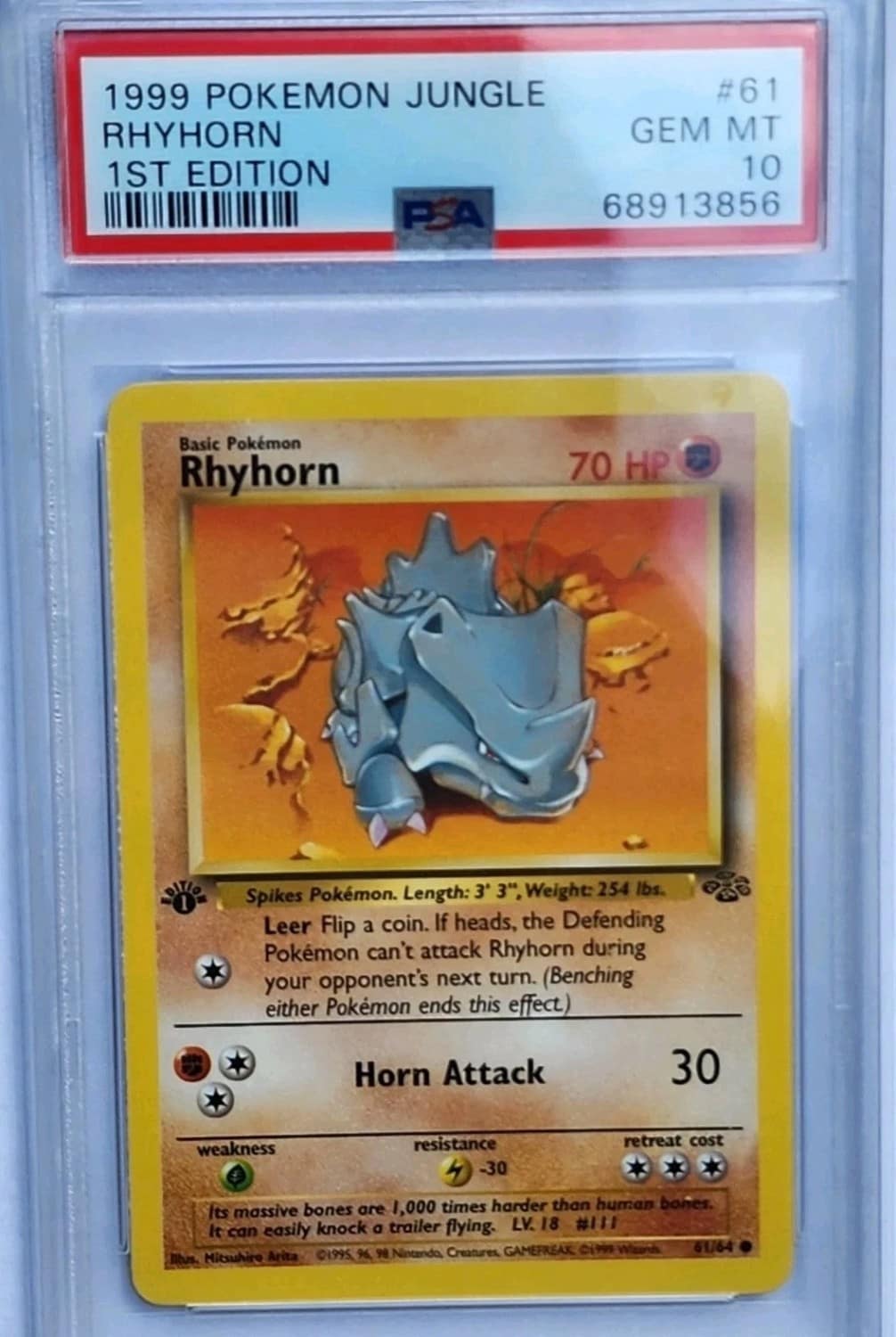Rhyhorn