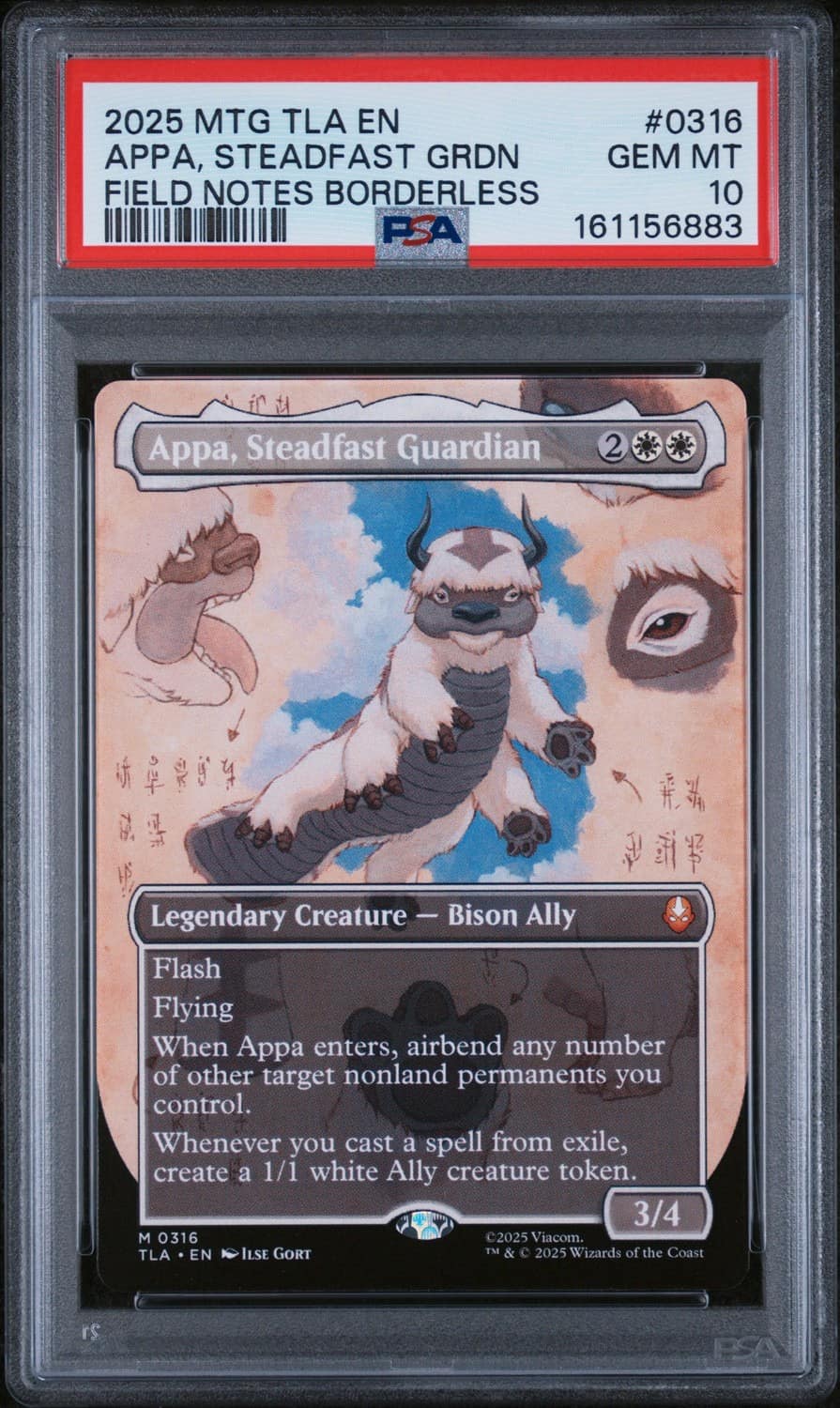 Appa, Steadfast Guardian