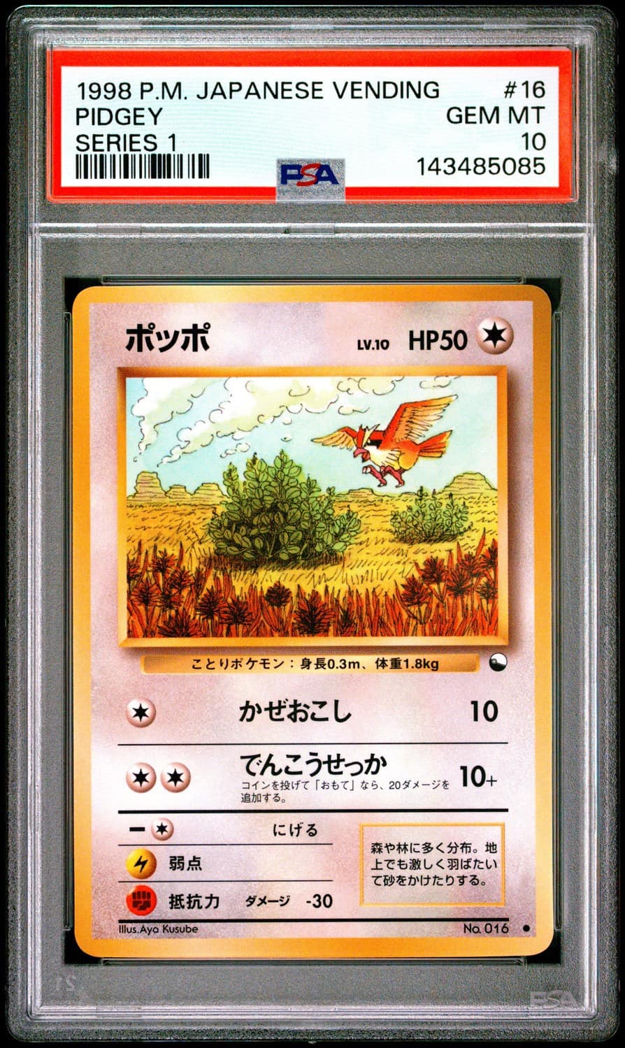 Pidgey