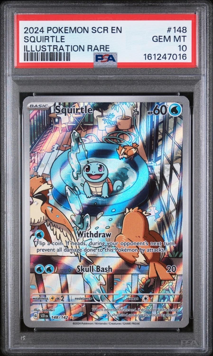 Squirtle
