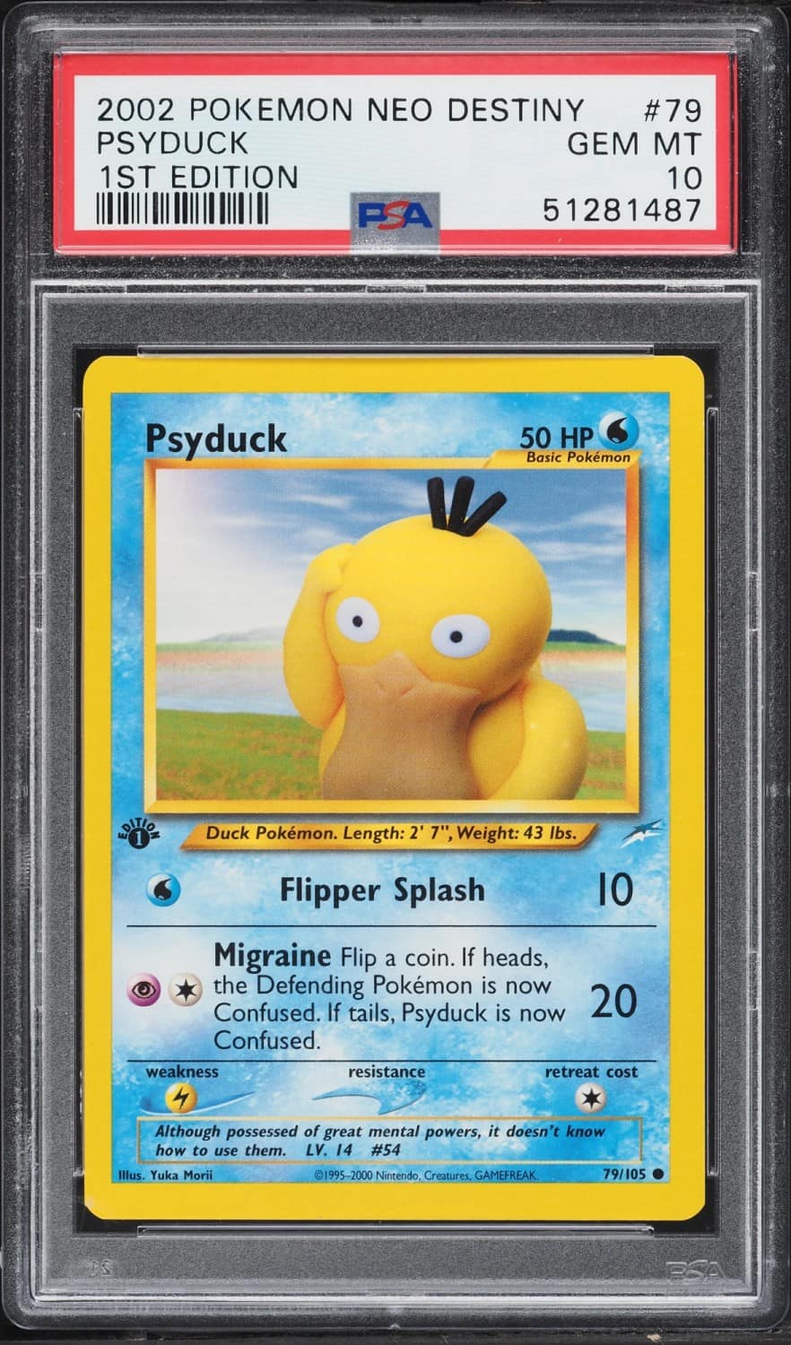 Psyduck