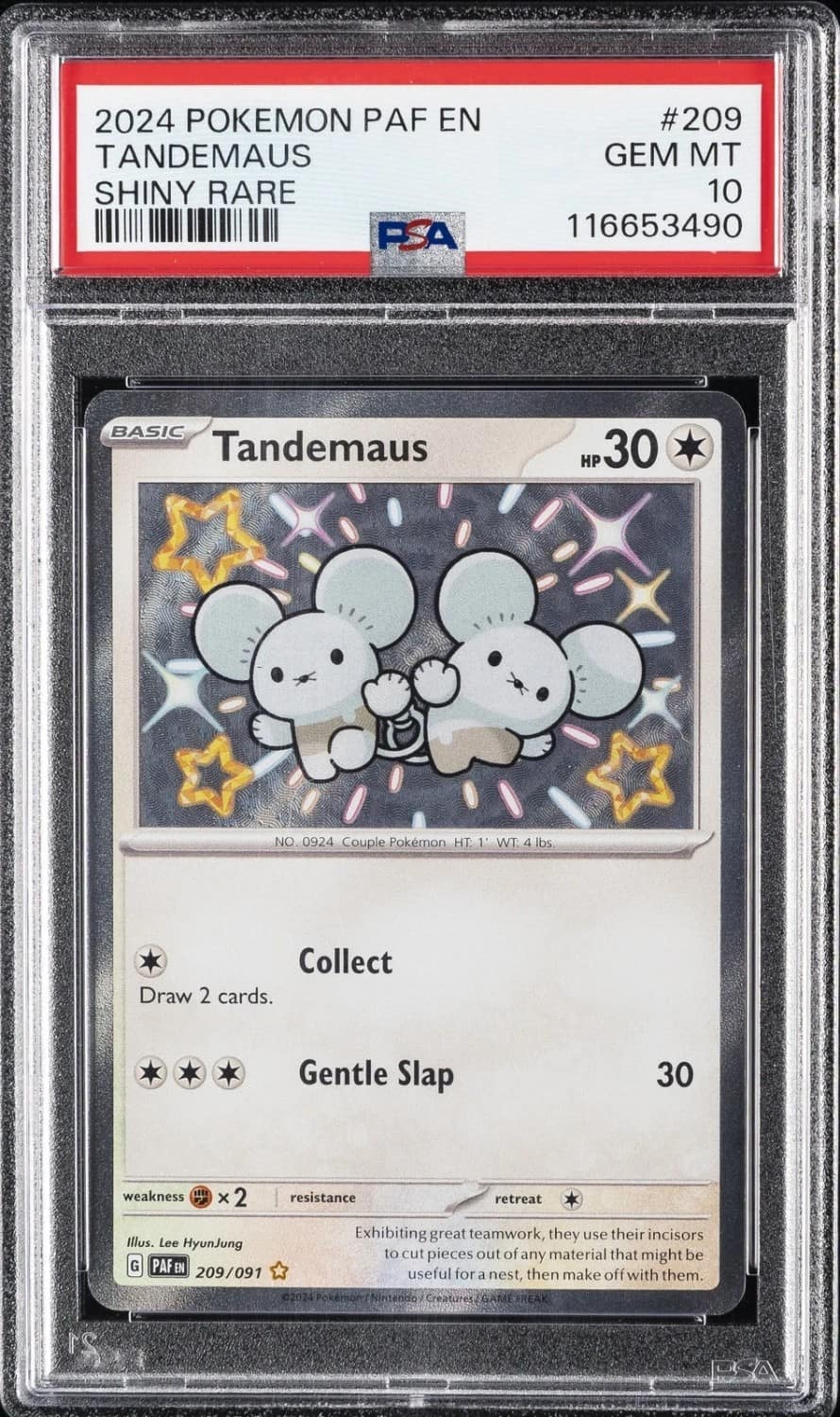 Tandemaus
