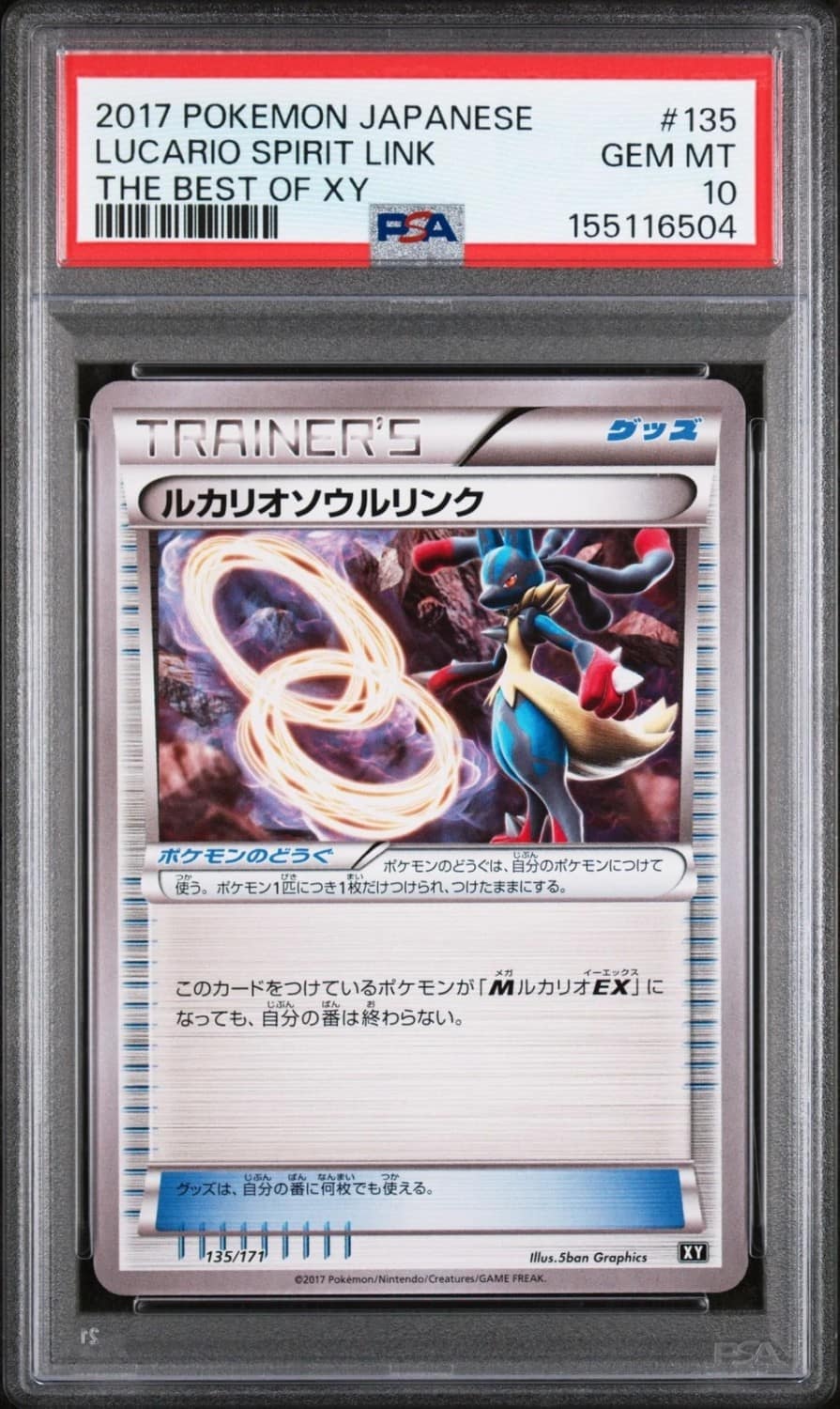 Lucario Spirit Link