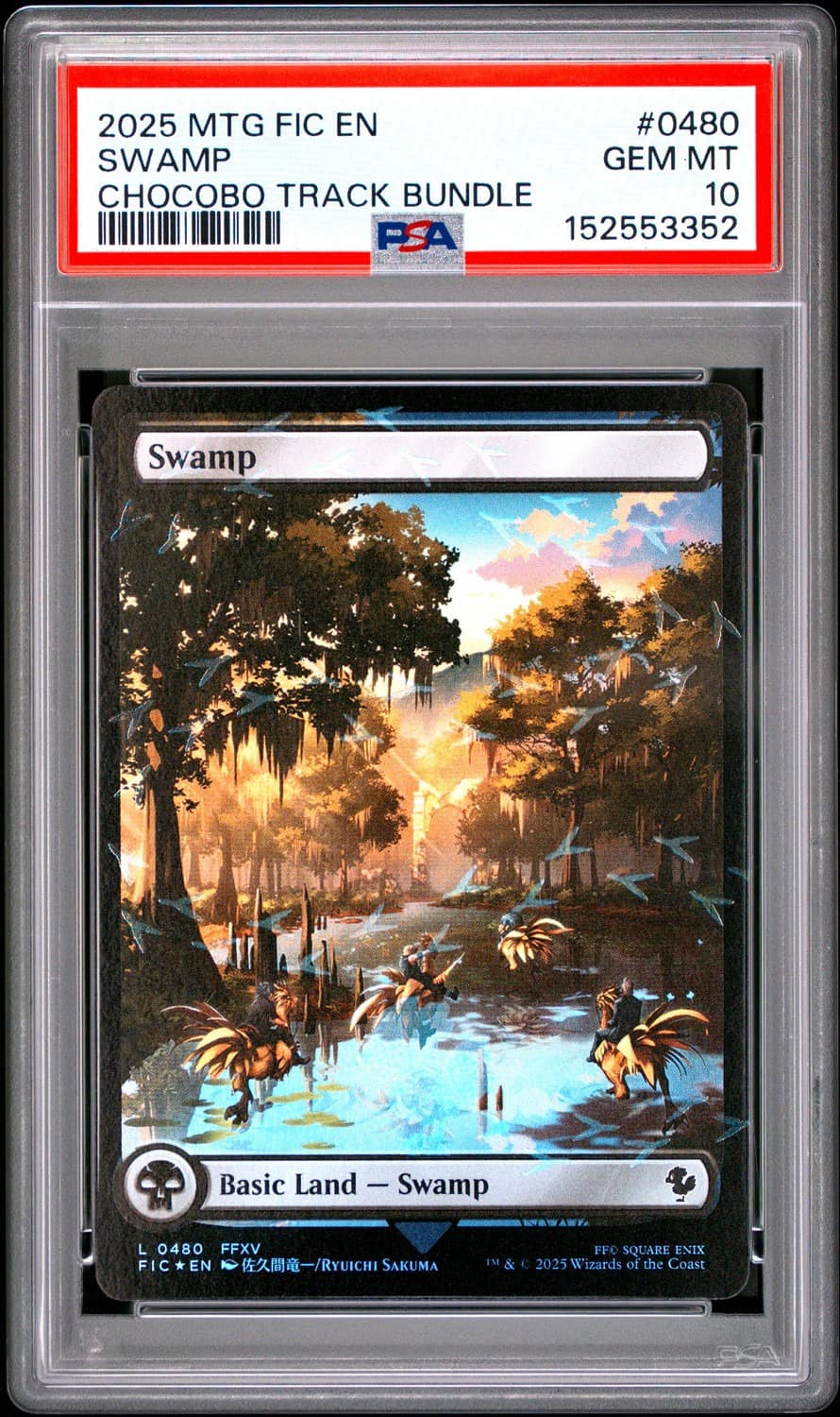 Swamp