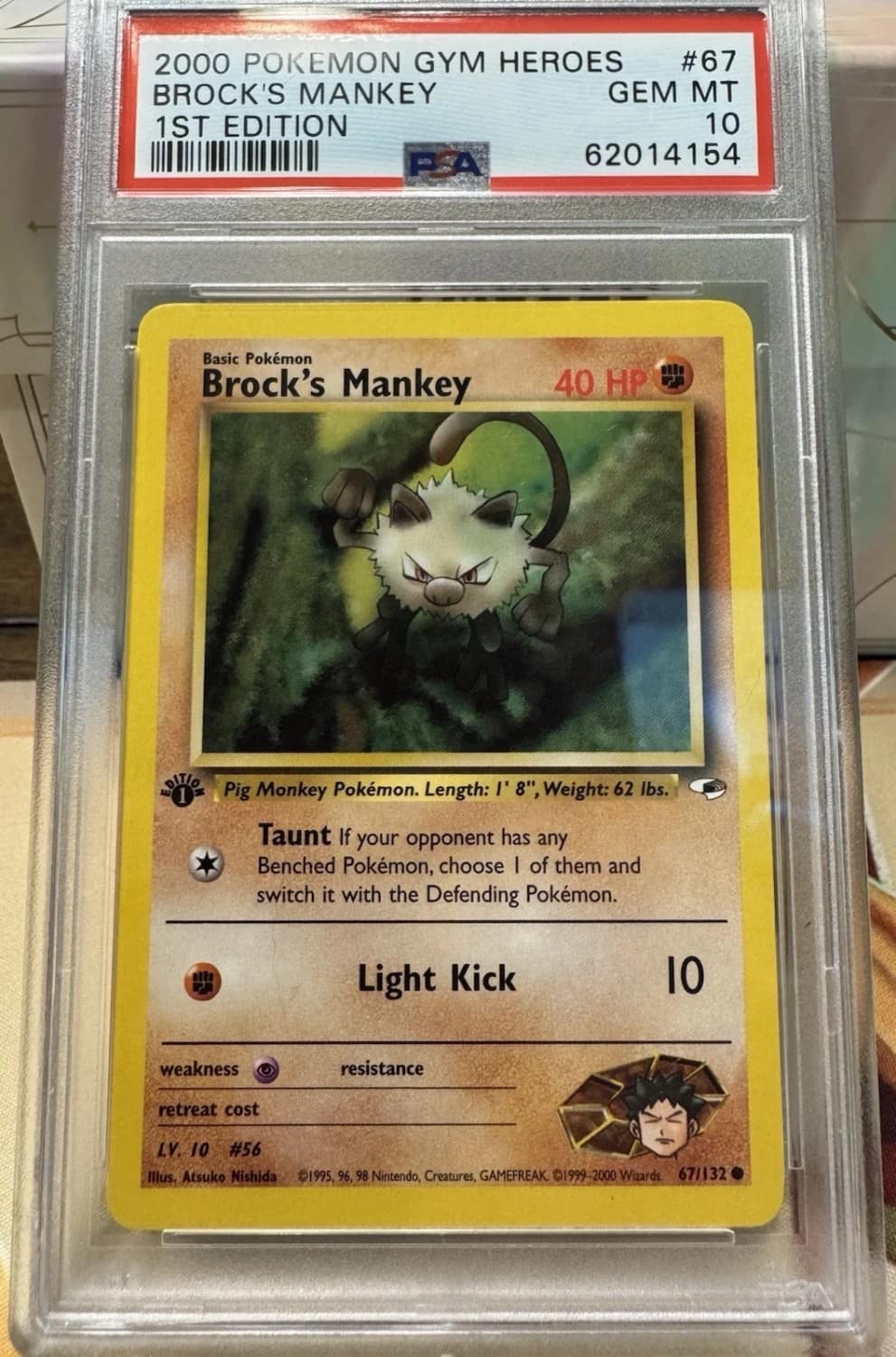 Brock'S Mankey