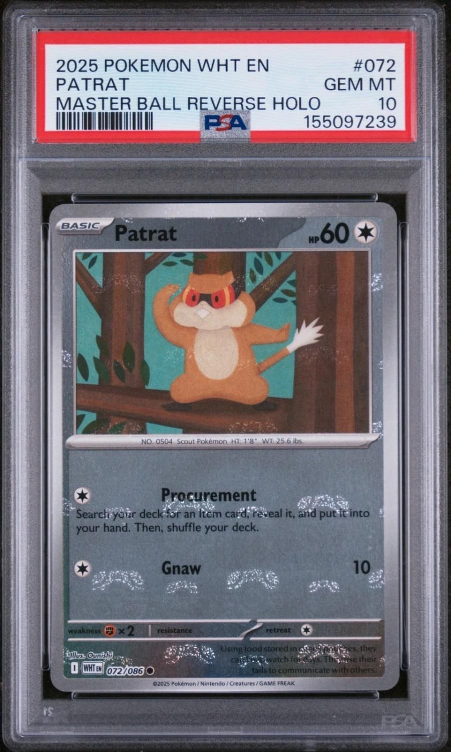 Patrat