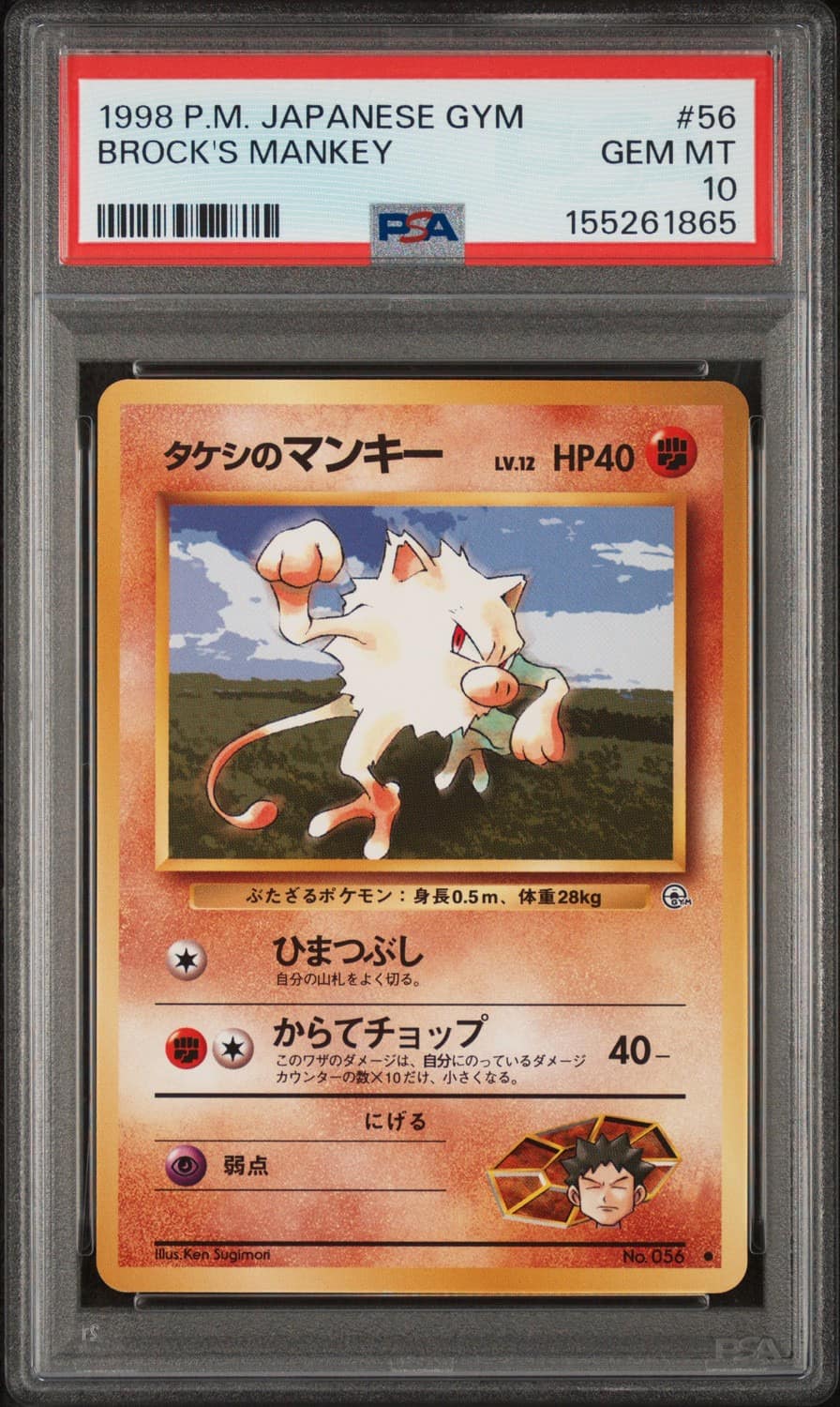 Brock'S Mankey