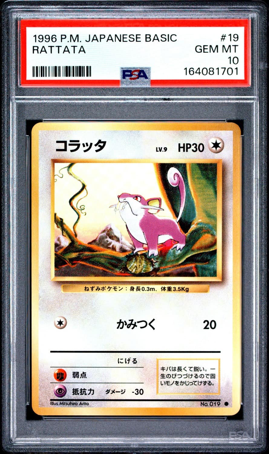Rattata