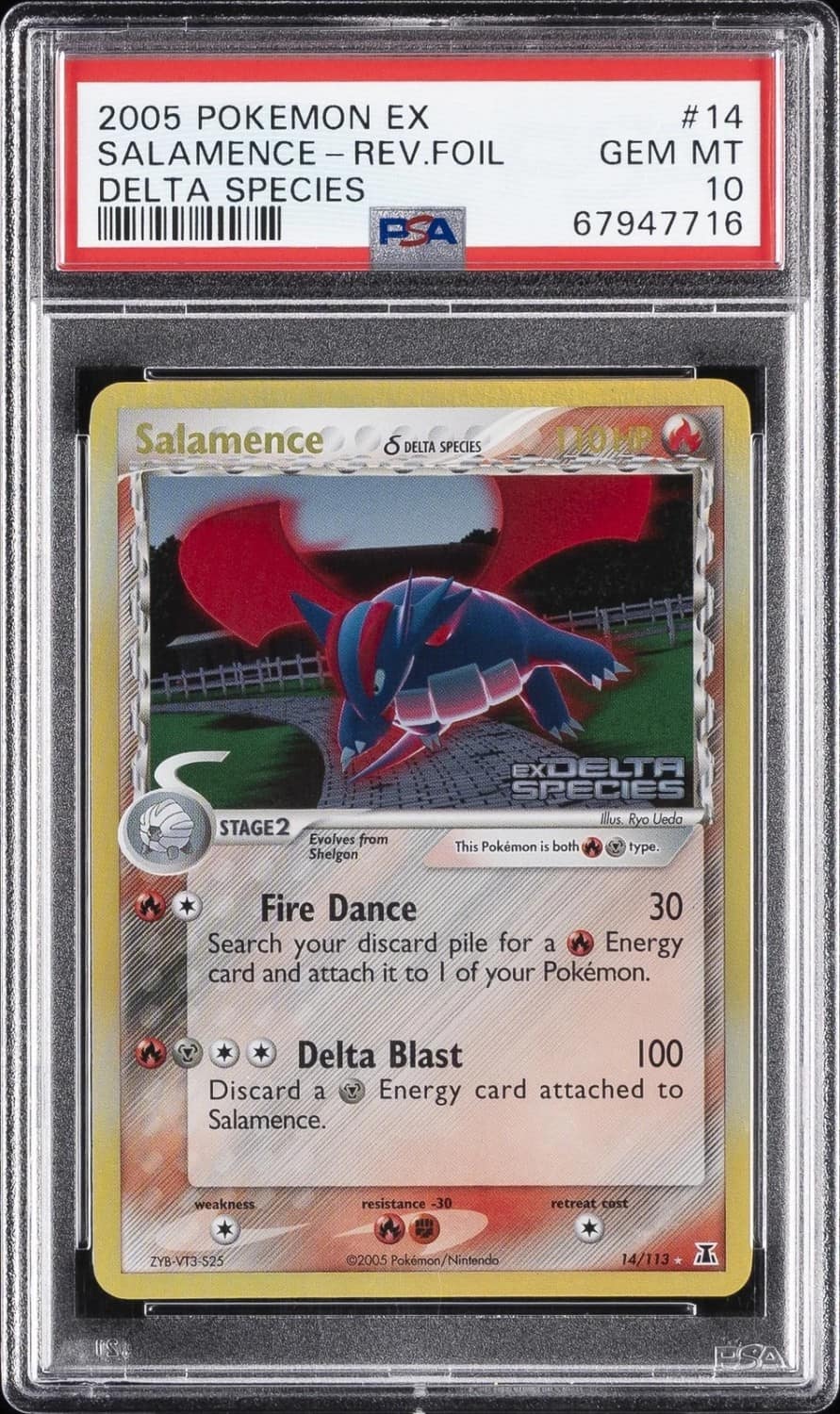 Salamence