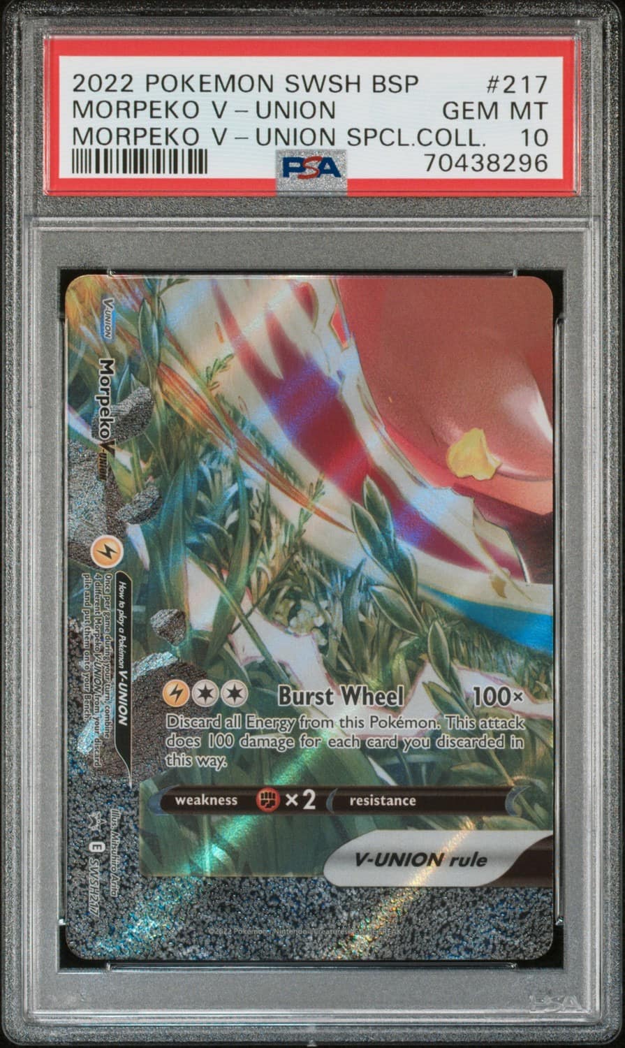 Morpeko V-Union