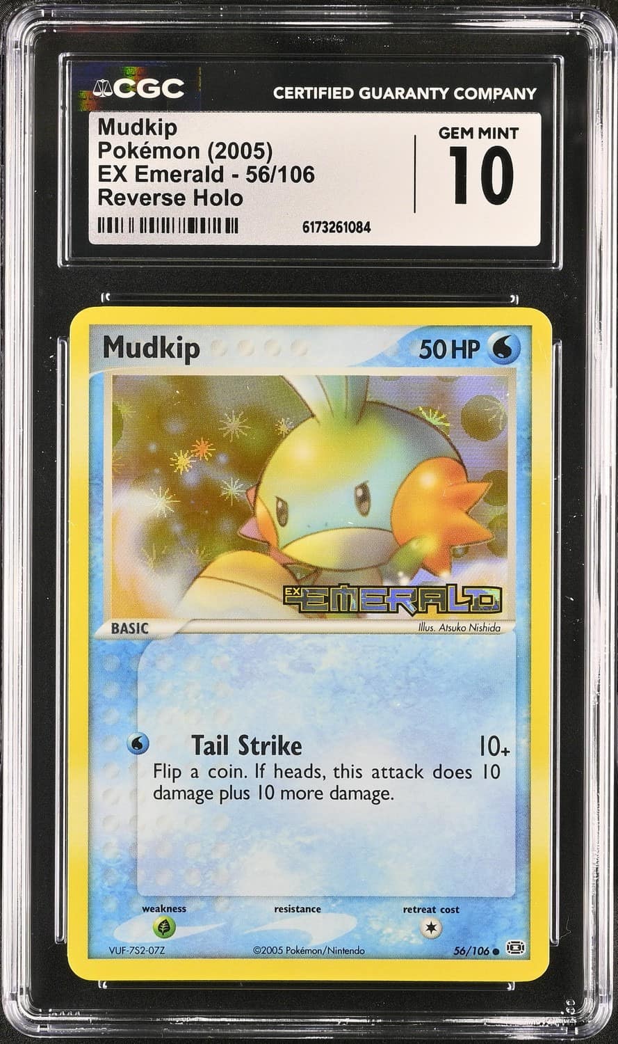 Mudkip