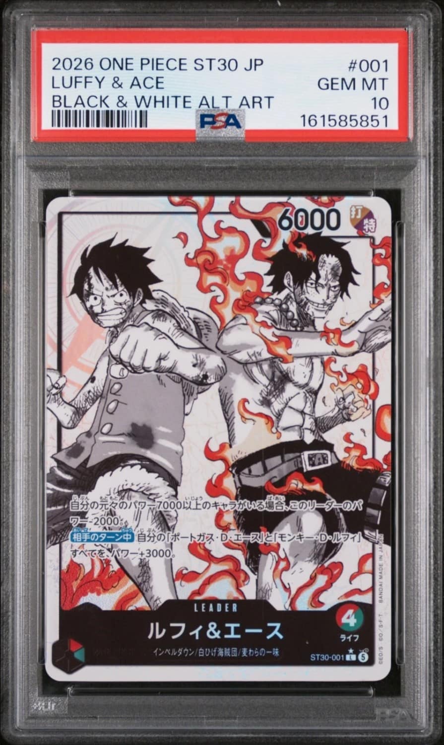 Luffy & Ace