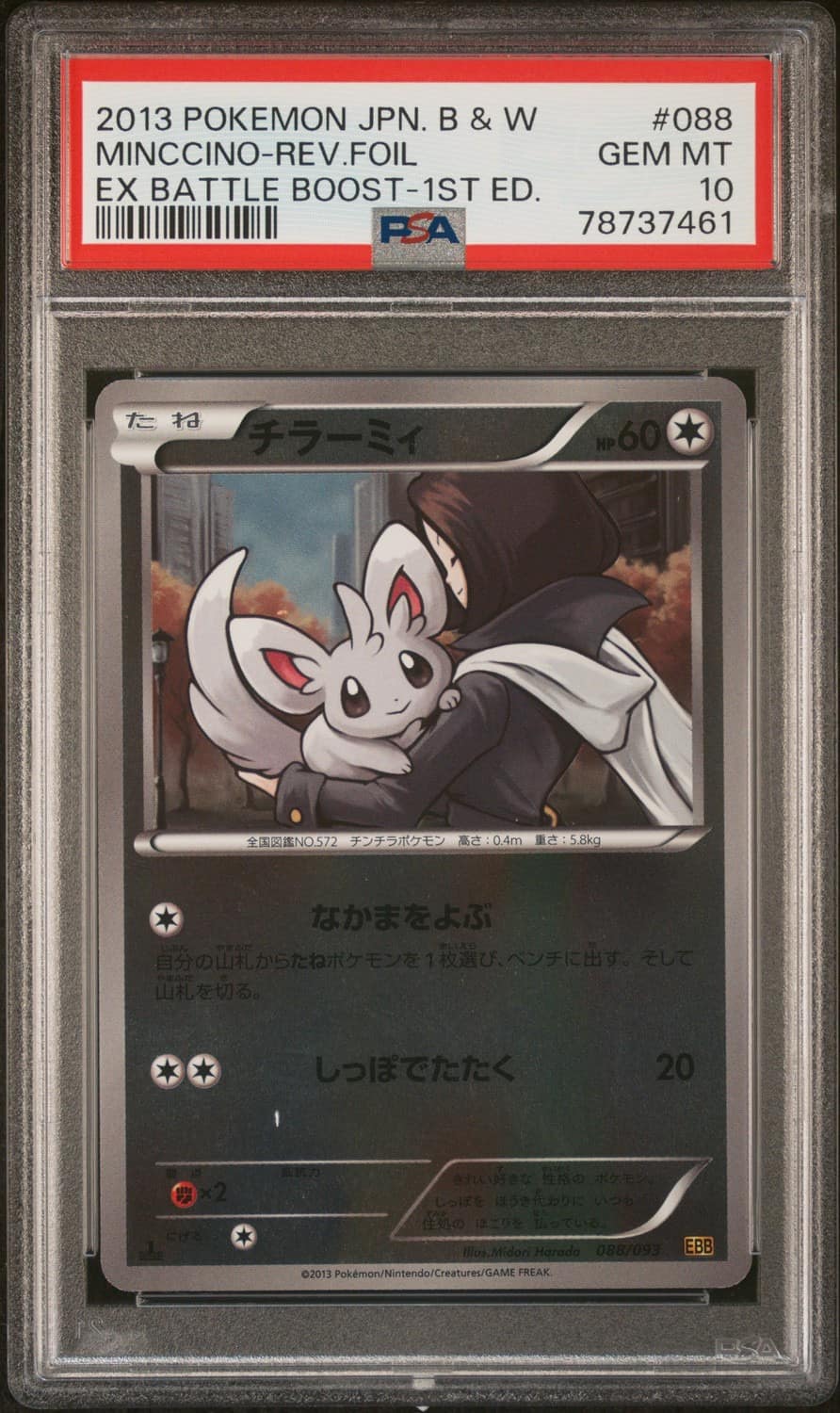 Minccino